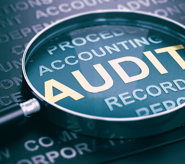 Financial and Audit Services in India